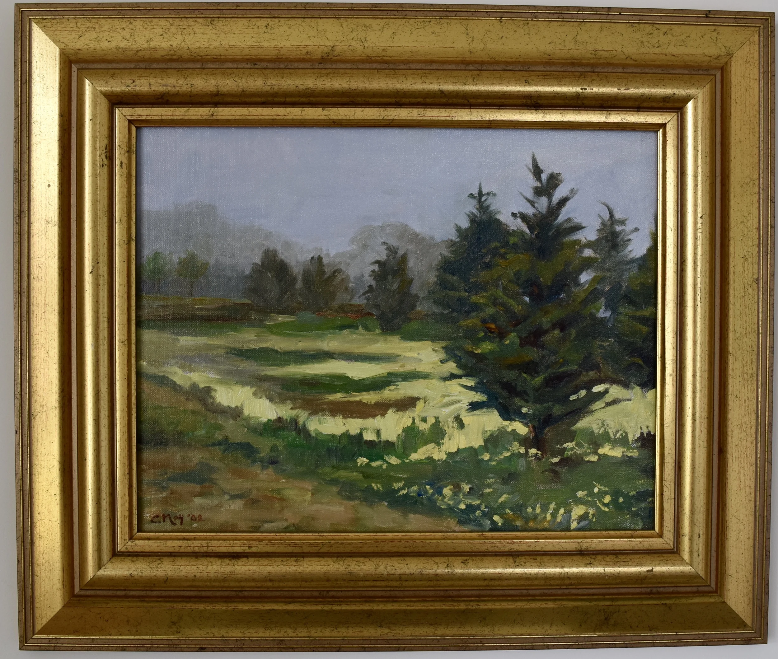Misty Morning 11x14 Private Collection