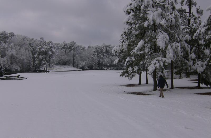Augusta National 11th Hole