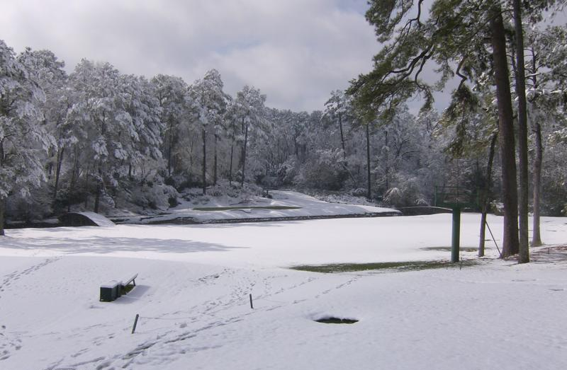 Augusta National 12th Hole