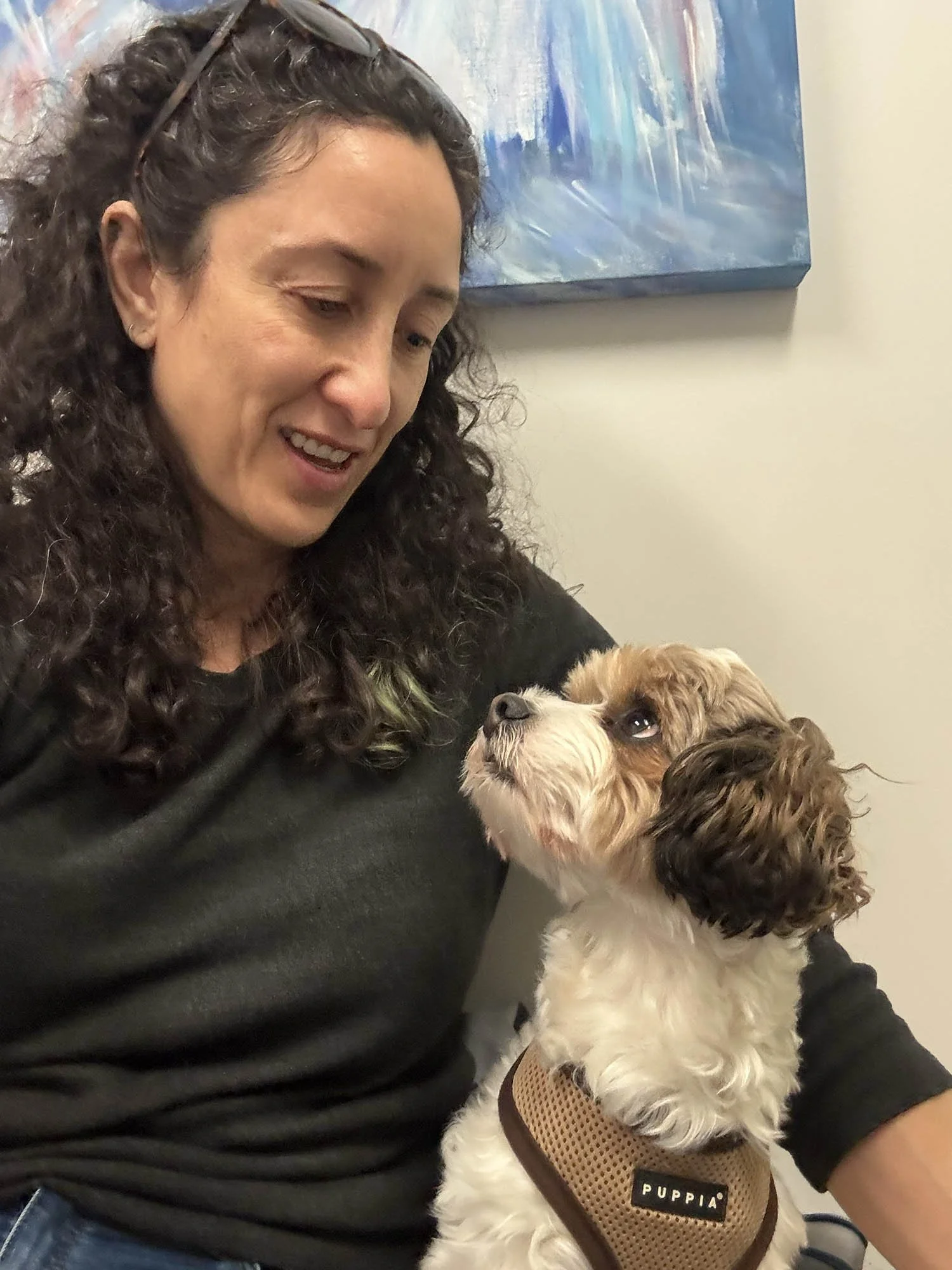 A woman with long curly dark hair and light skin wearing sunglasses on her head, smiling while holding a small dog with a brown and white coat and a beige harness labeled "Puppia." Owner of Amala Studio a waxing studio in Lynnwood wa