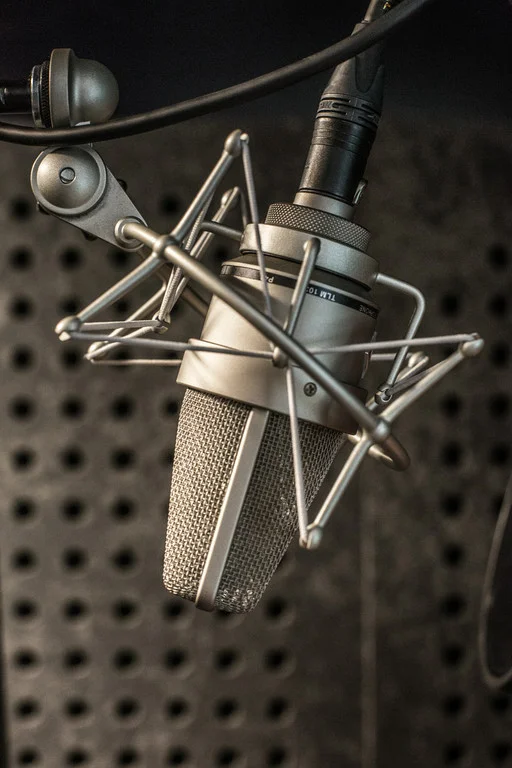 Neumann TLM 103 Microphone