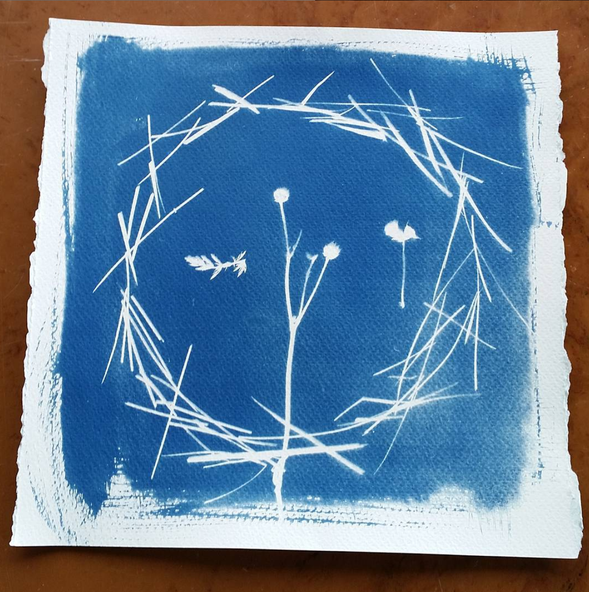 What Is A Cyanotype? — Sarah May