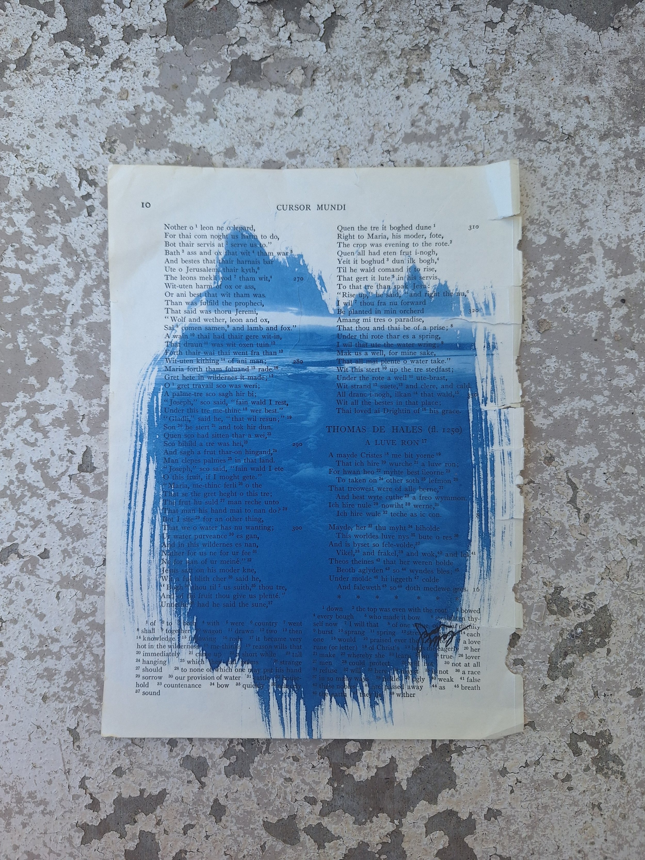 Wave Foam - GSL Book Page Cyanotype