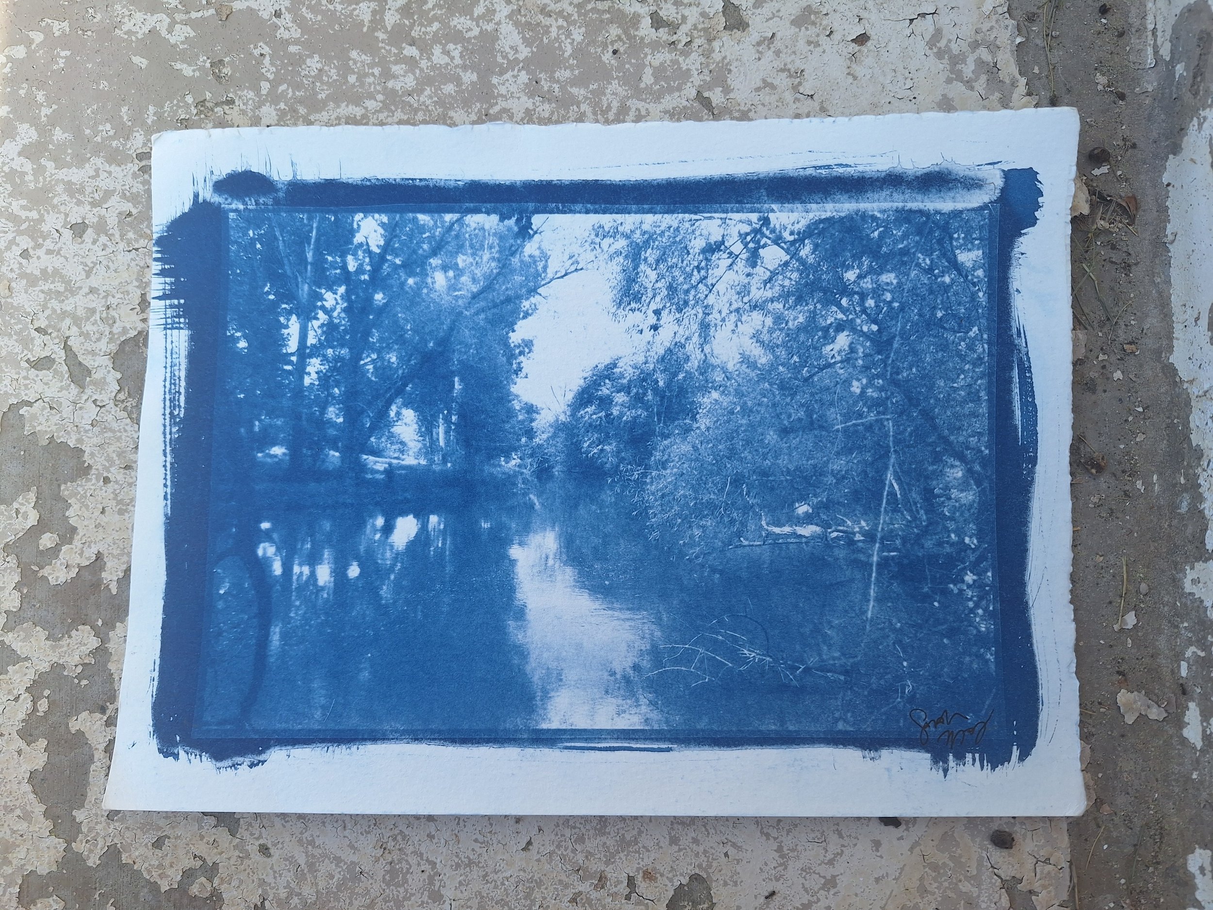 Pia Owkai- Cyanotype on Watercolour Paper