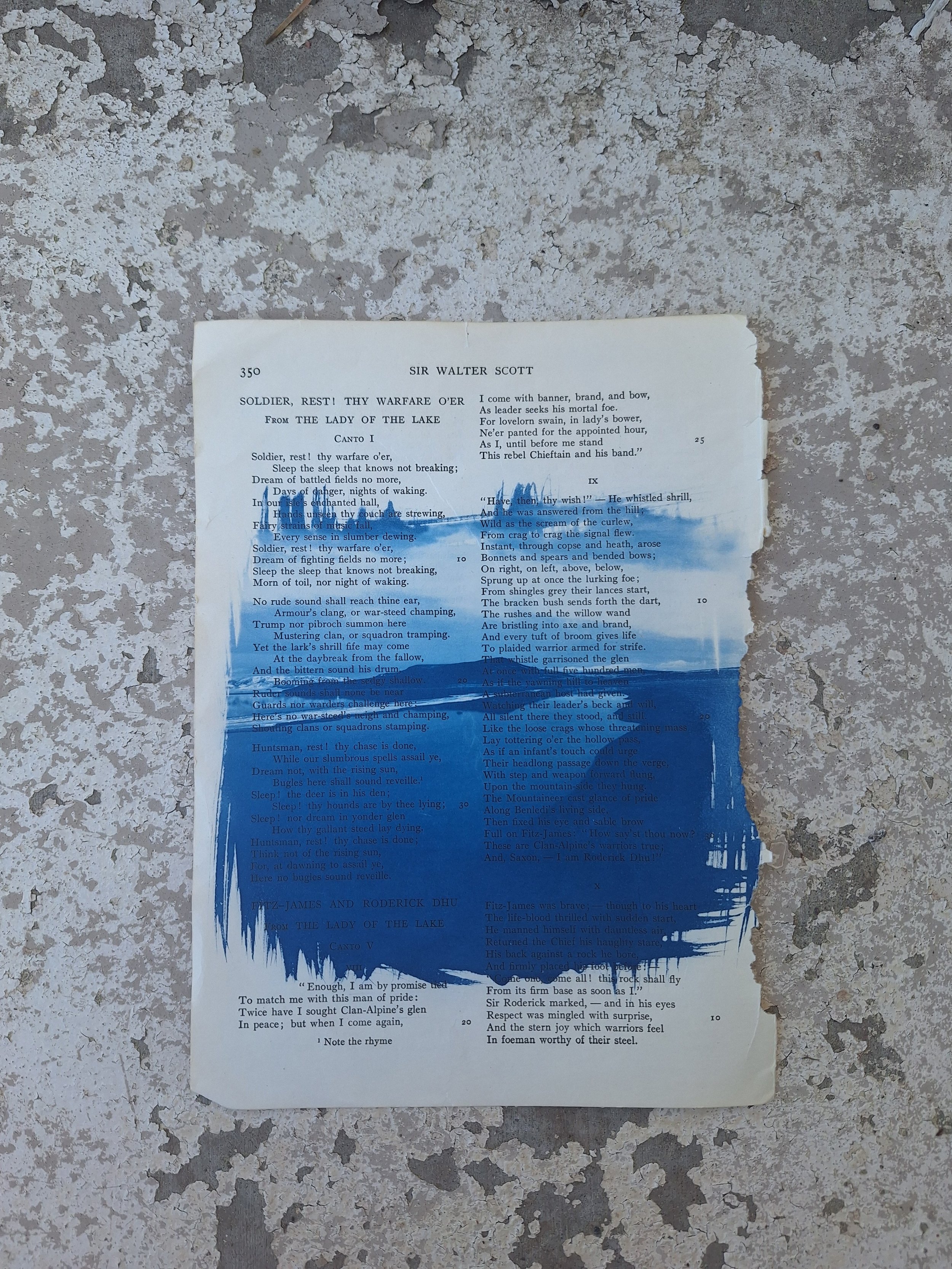 The North Arm - GSL Book Page Cyanotype