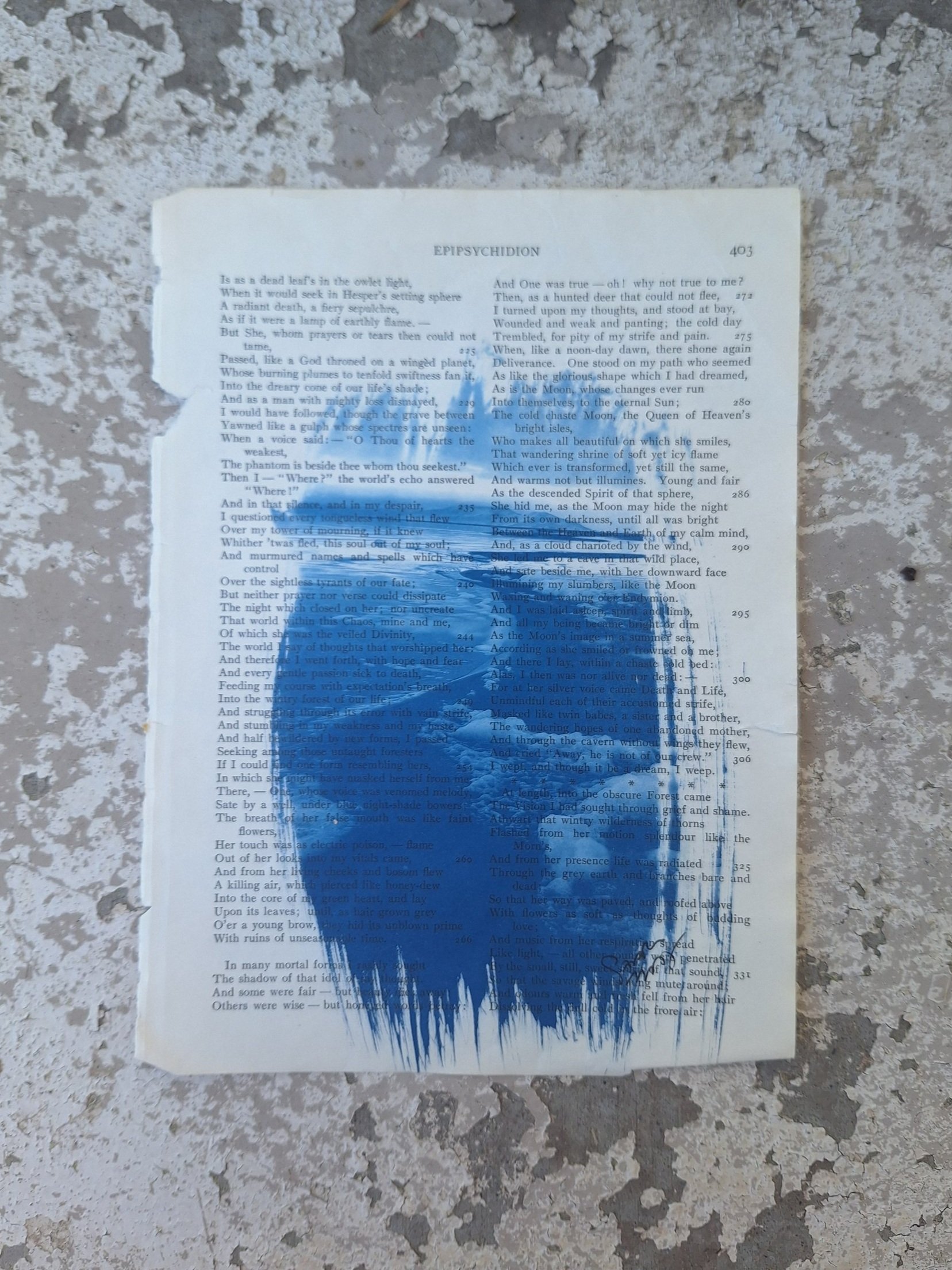 Saltair - GSL Book Page Cyanotype