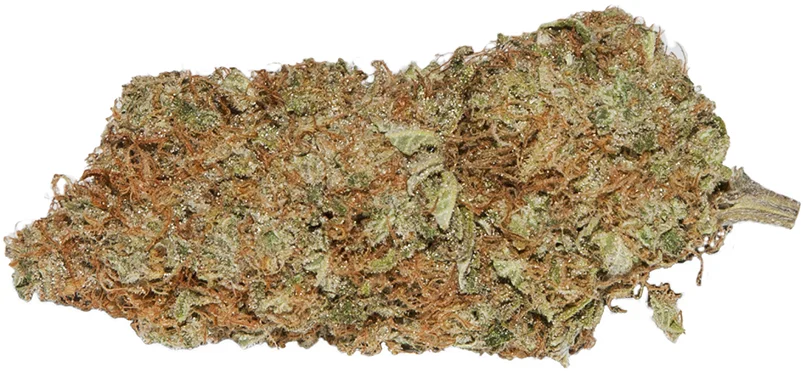 master kush.jpg