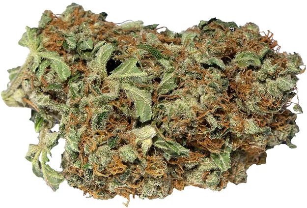 Caper Haze-SSH.jpg