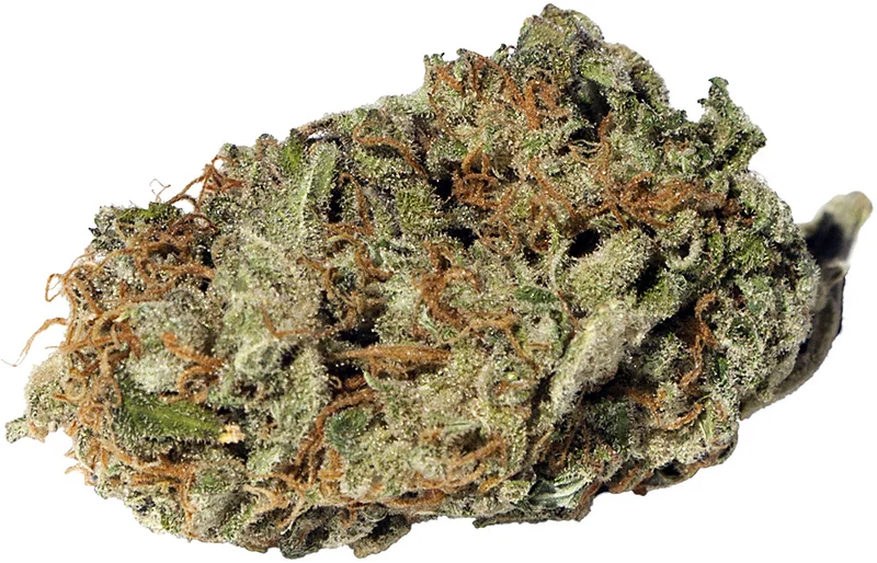Ghost OG.jpg