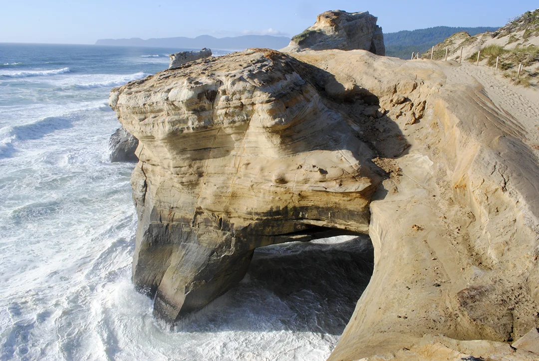 capekiwanda.2010.212.jpg