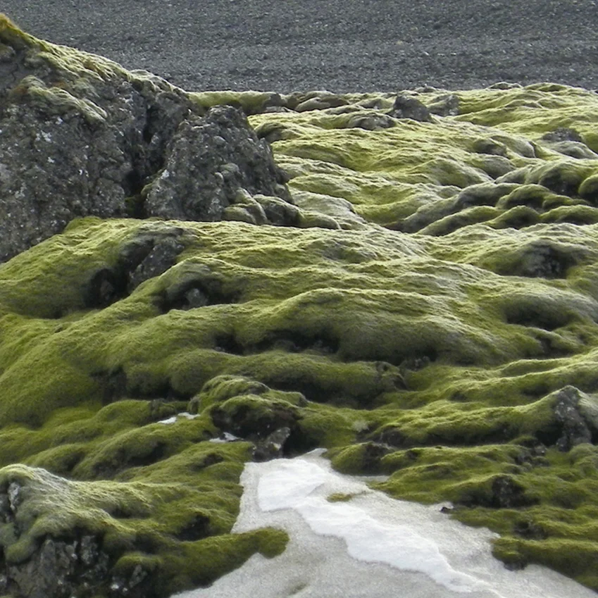 vitherni_02thumbnail.jpg