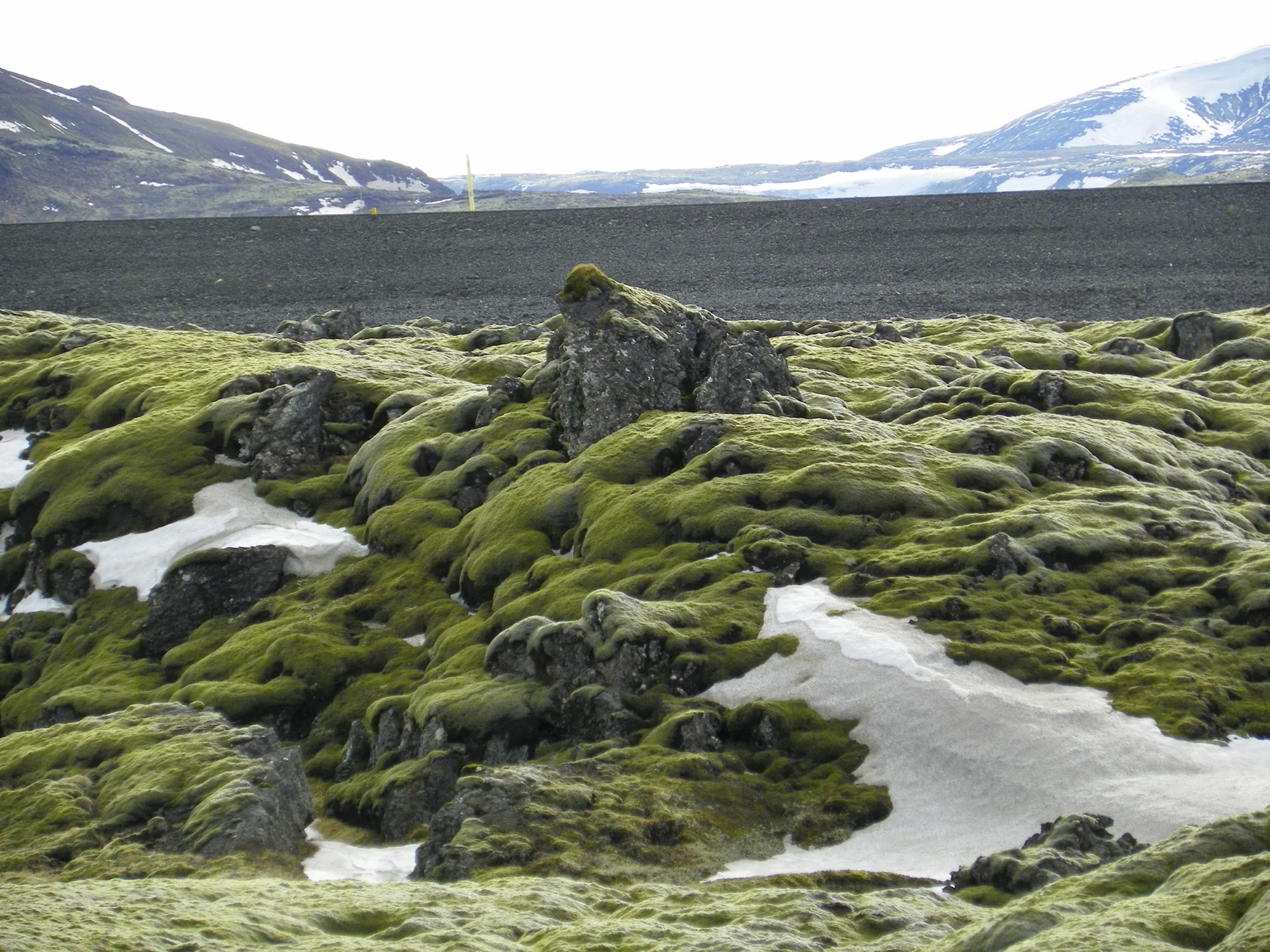 Iceland's lava fields