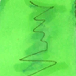 tgthumbnail.jpg
