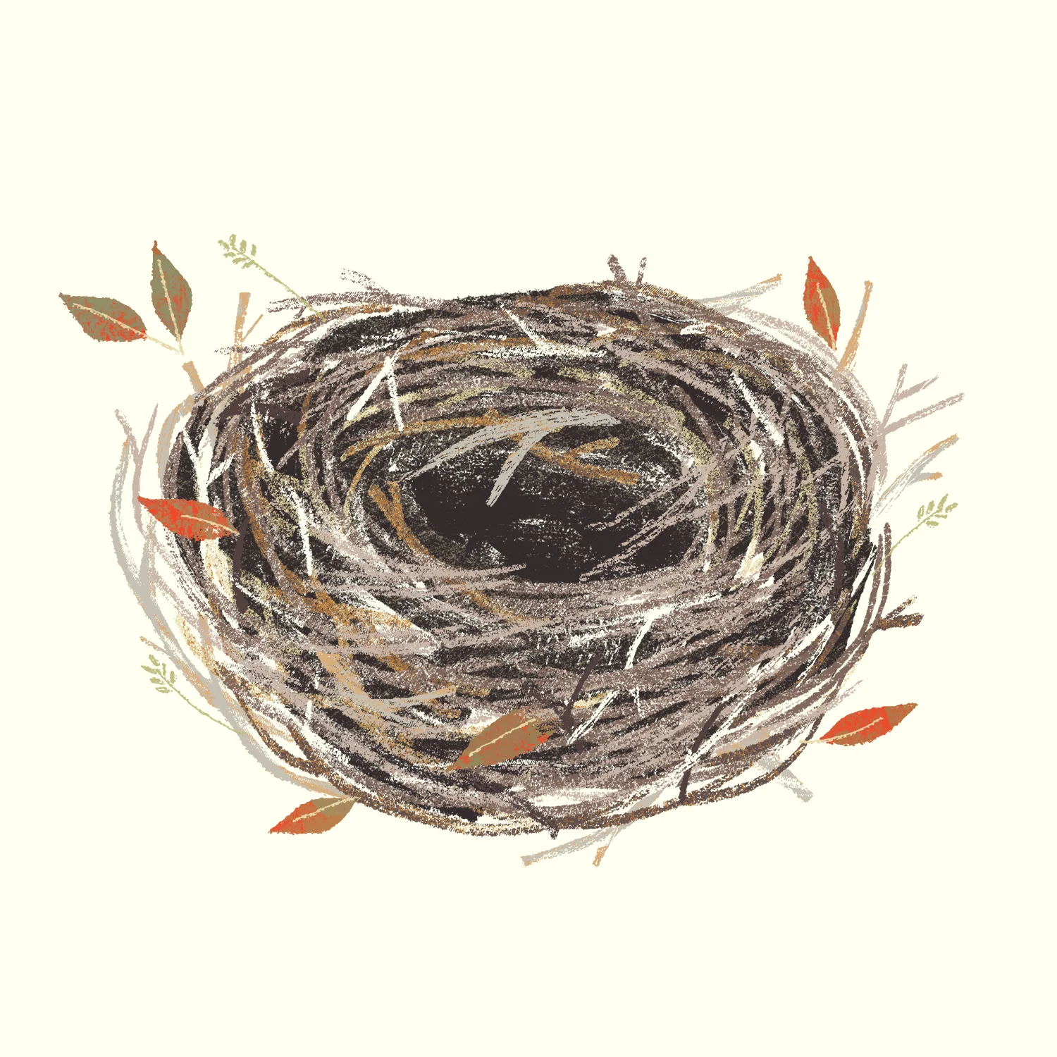 Nest.sasaki.jpg