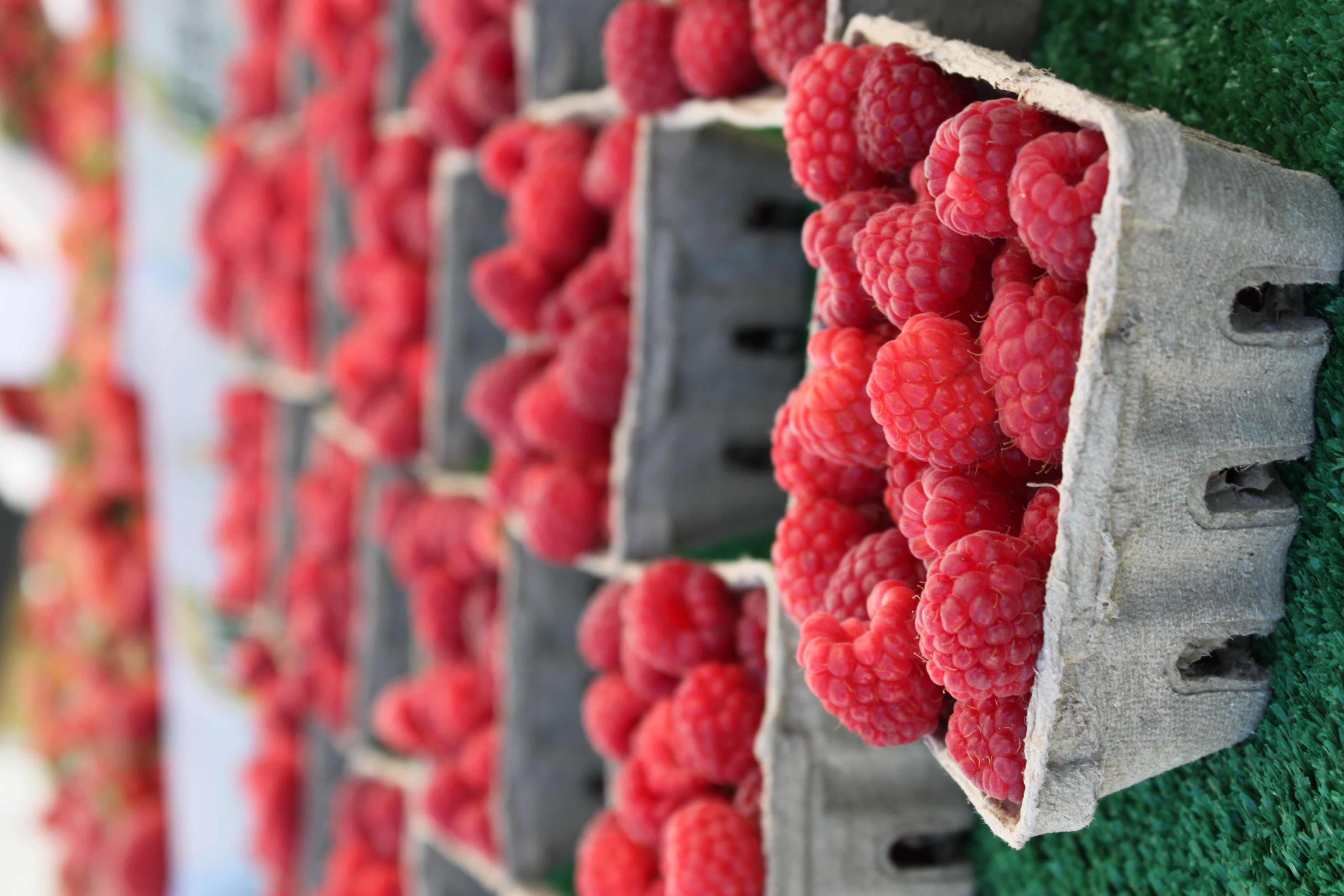 Rasberries Santa Rosa's West End Farmers Market