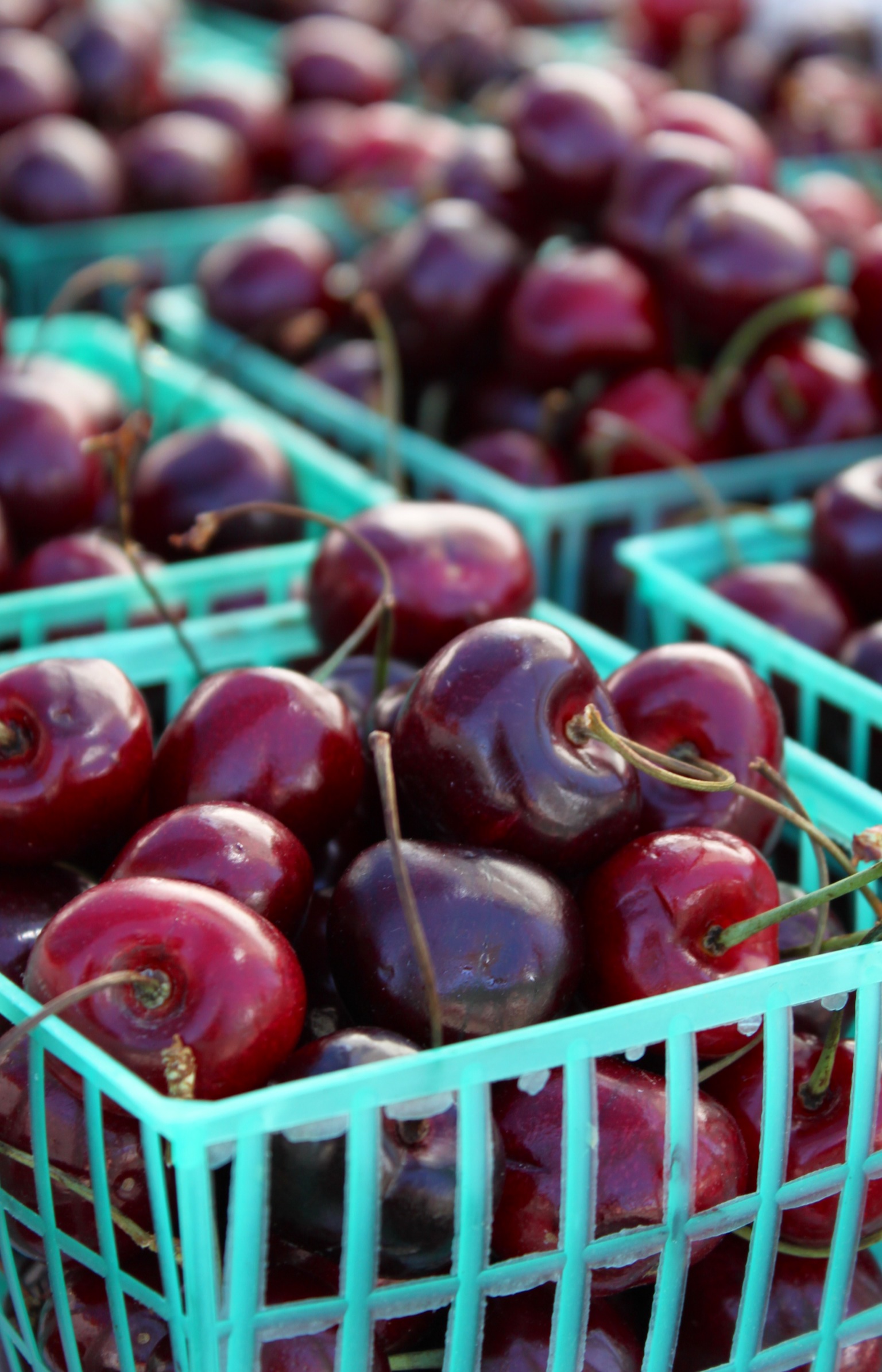 Dark Cherries Santa Rosa's West End Farmers Market