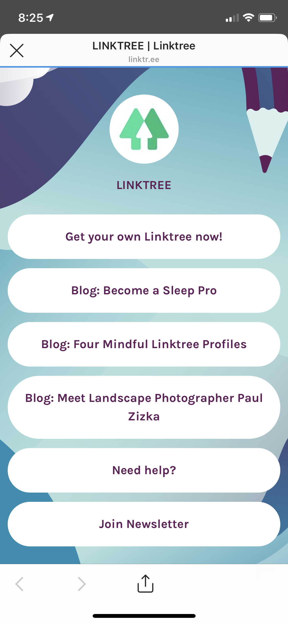 Instagram Marketing - Link in Bio - Link tree.png