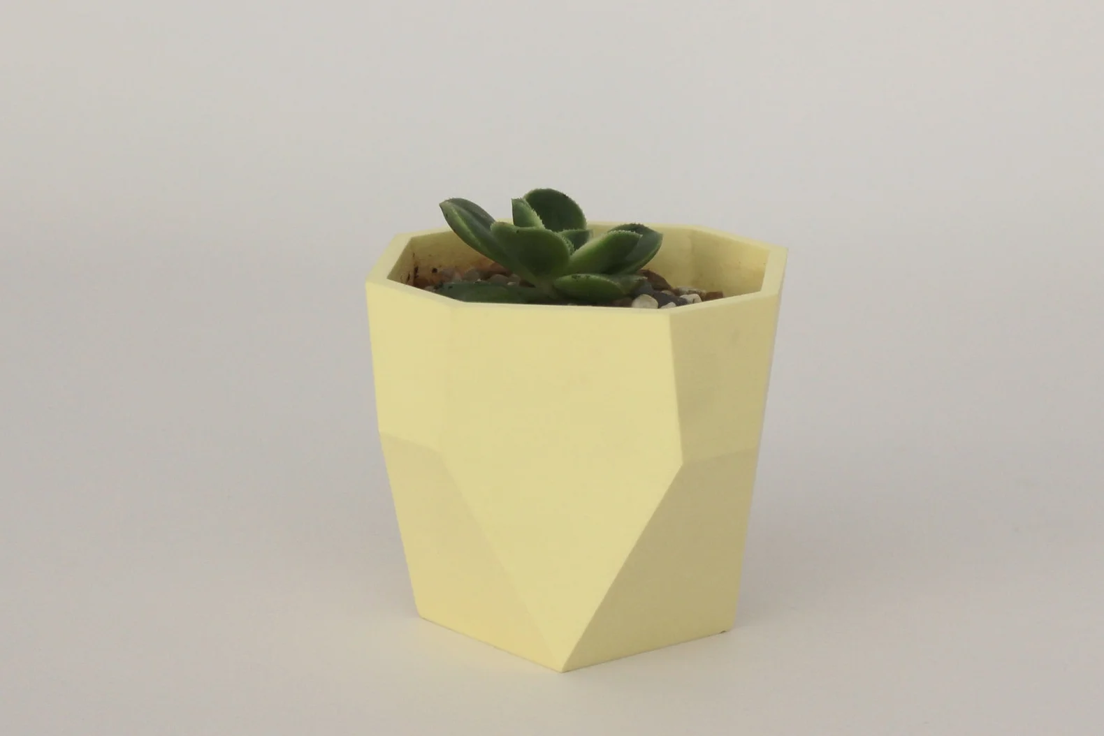 Poli_Lemon_Landscape_1.jpg