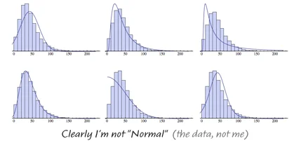 normal2.jpg