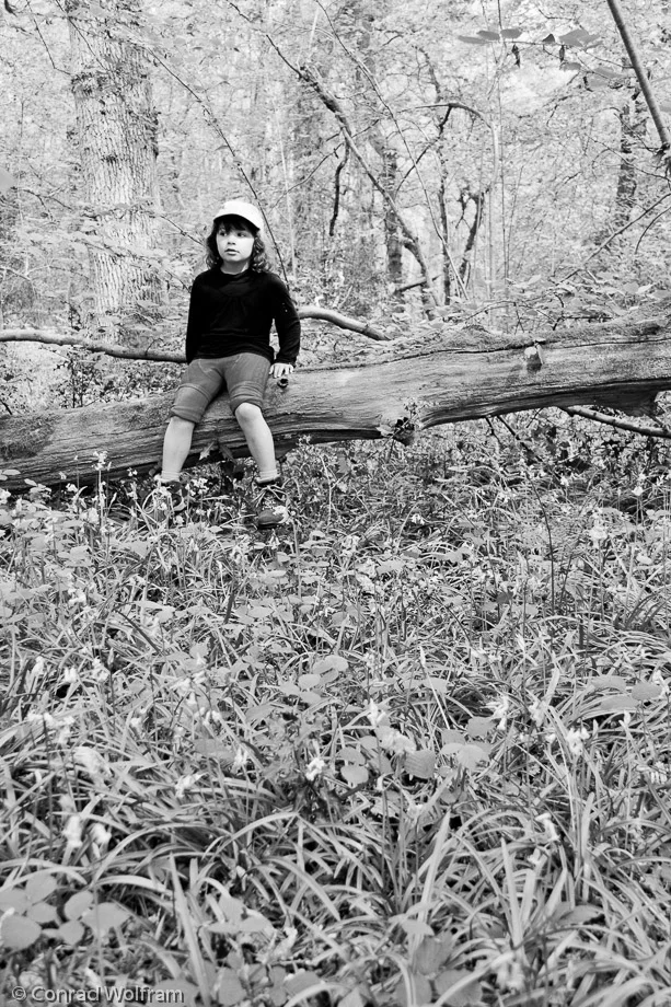 Sophia poses on tree