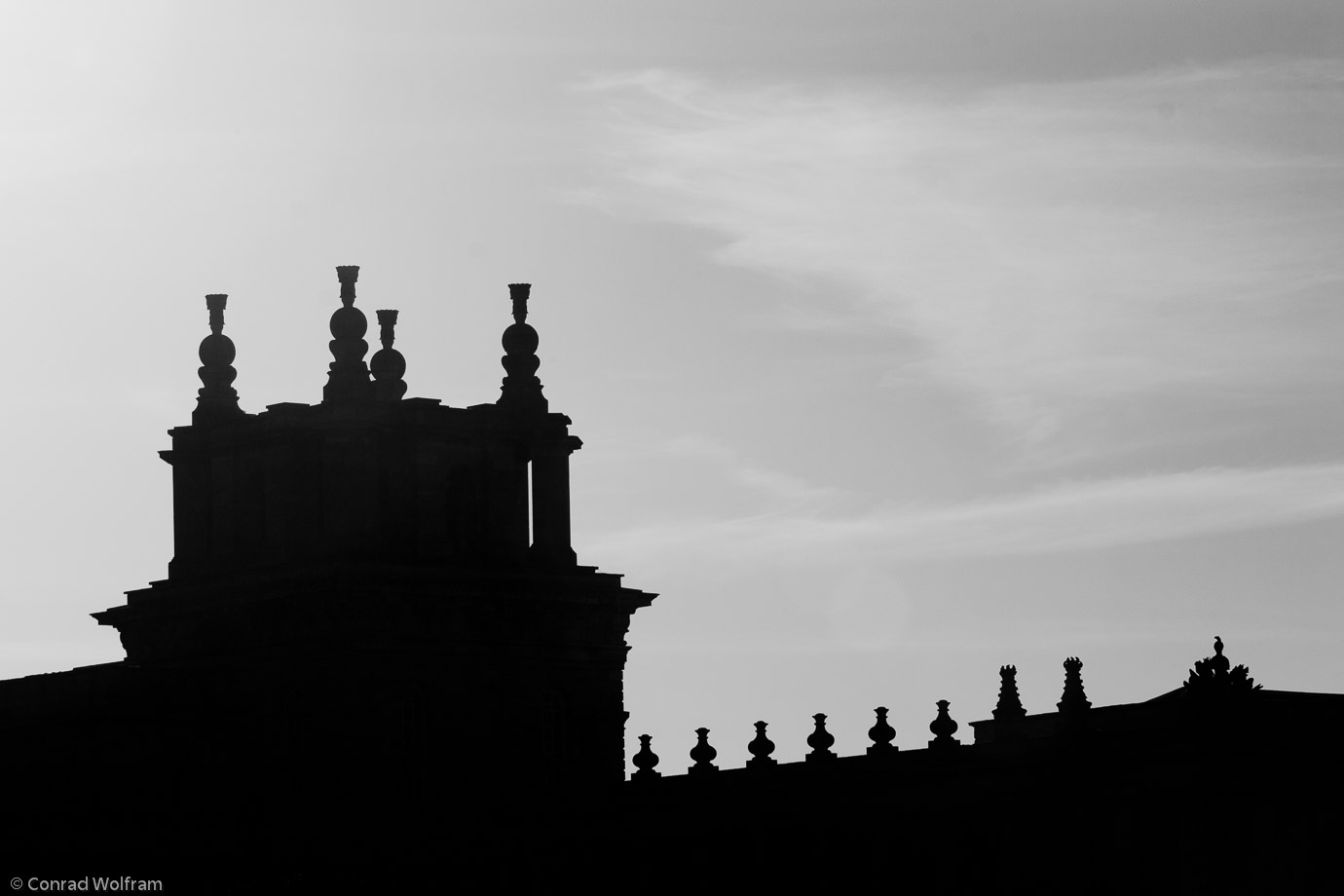 Blenheim silhouette