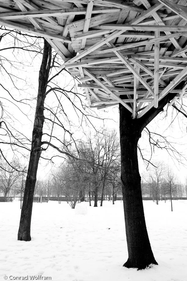 Treehouse in Berlin