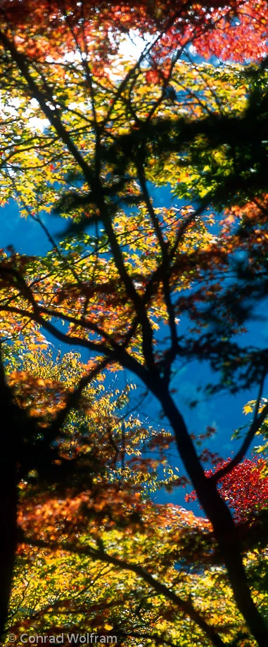 Kyoto colours
