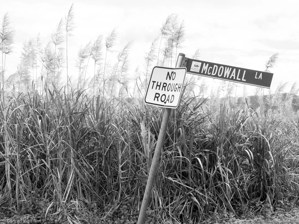 Wilderness of Port Douglas