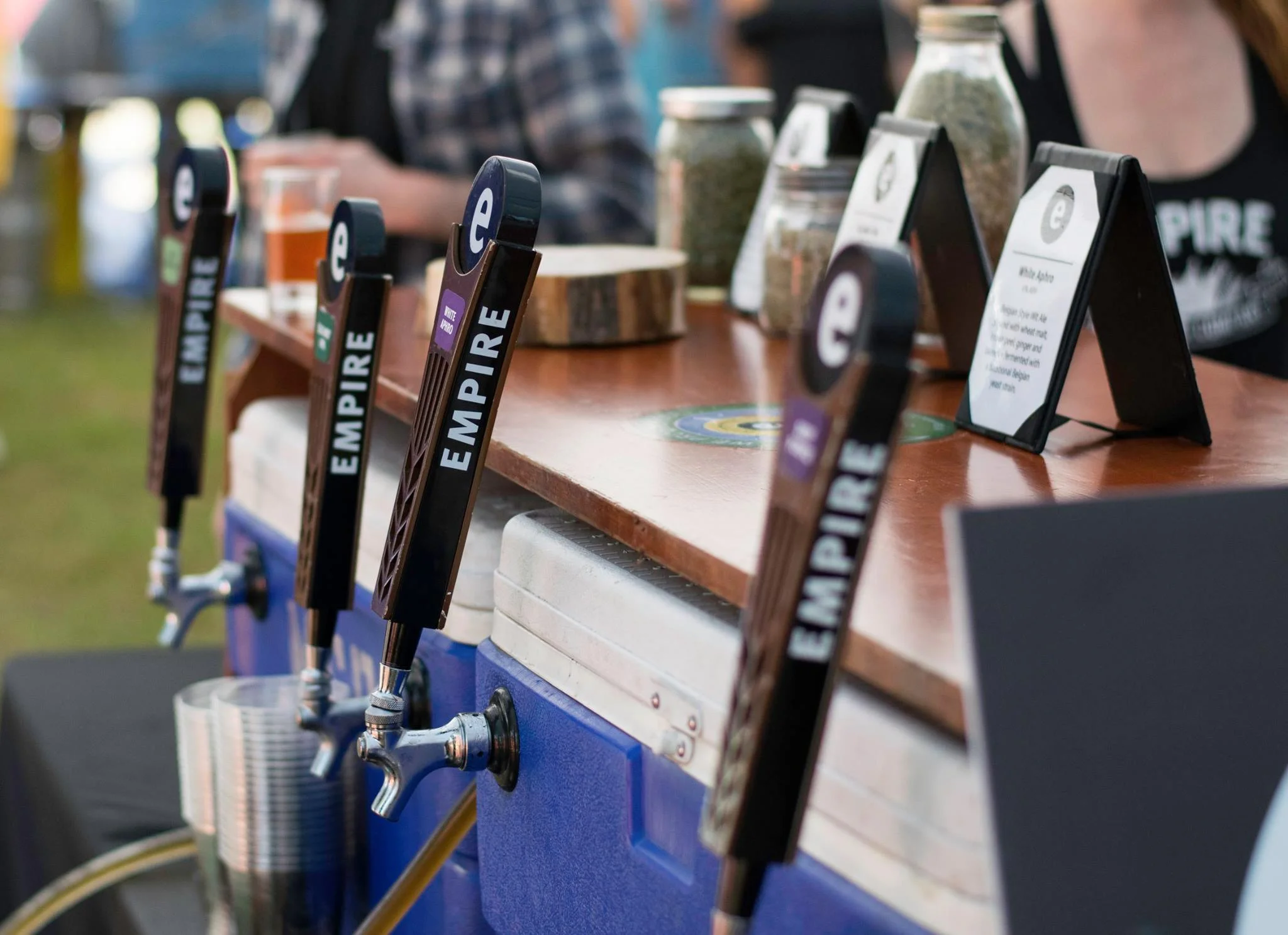 hopfesttaps.jpg