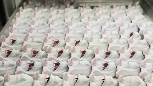 Laika used a method called "replacement animation," a 3D printer created over 53,000 faces of the same characters with slightly different facial expressions.