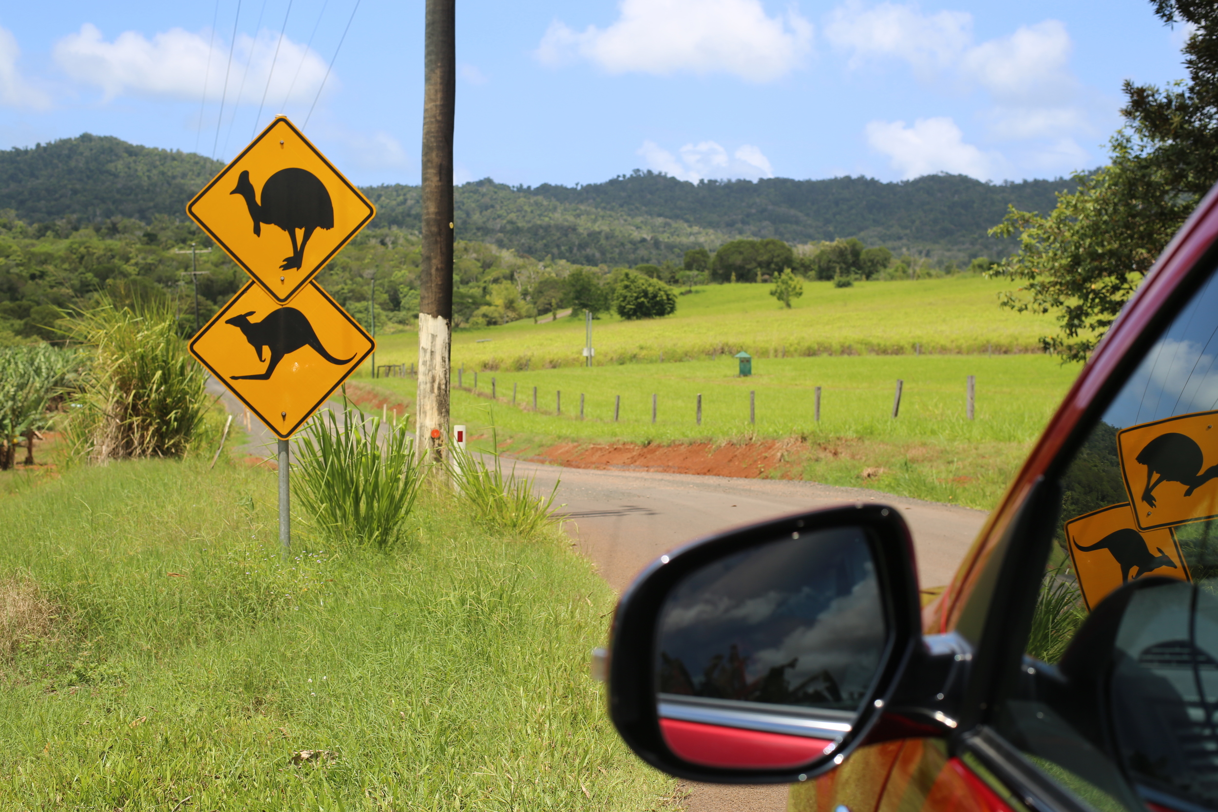 Driving through Cairns