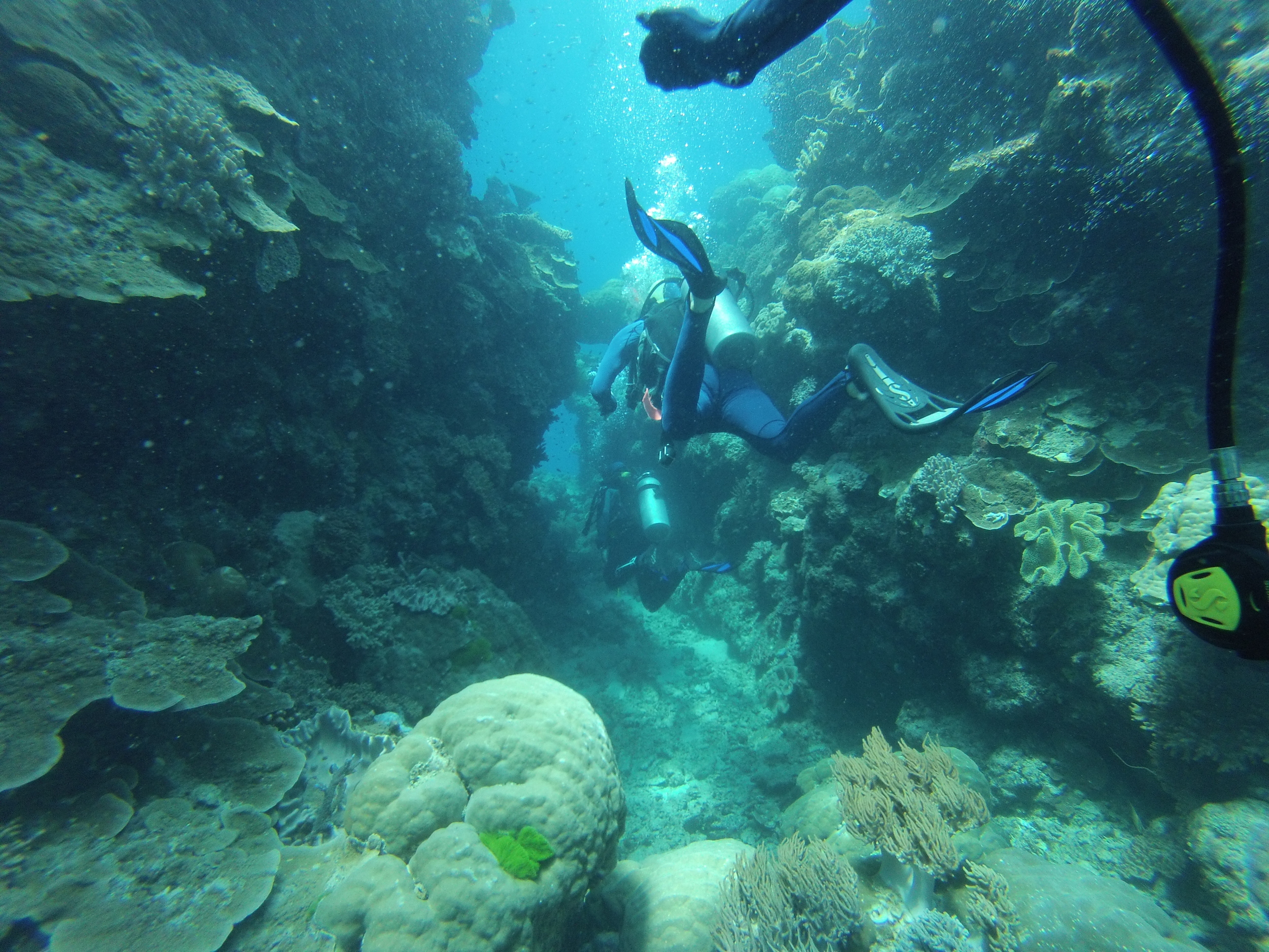 Scuba Diving in the Great Barrier Reef