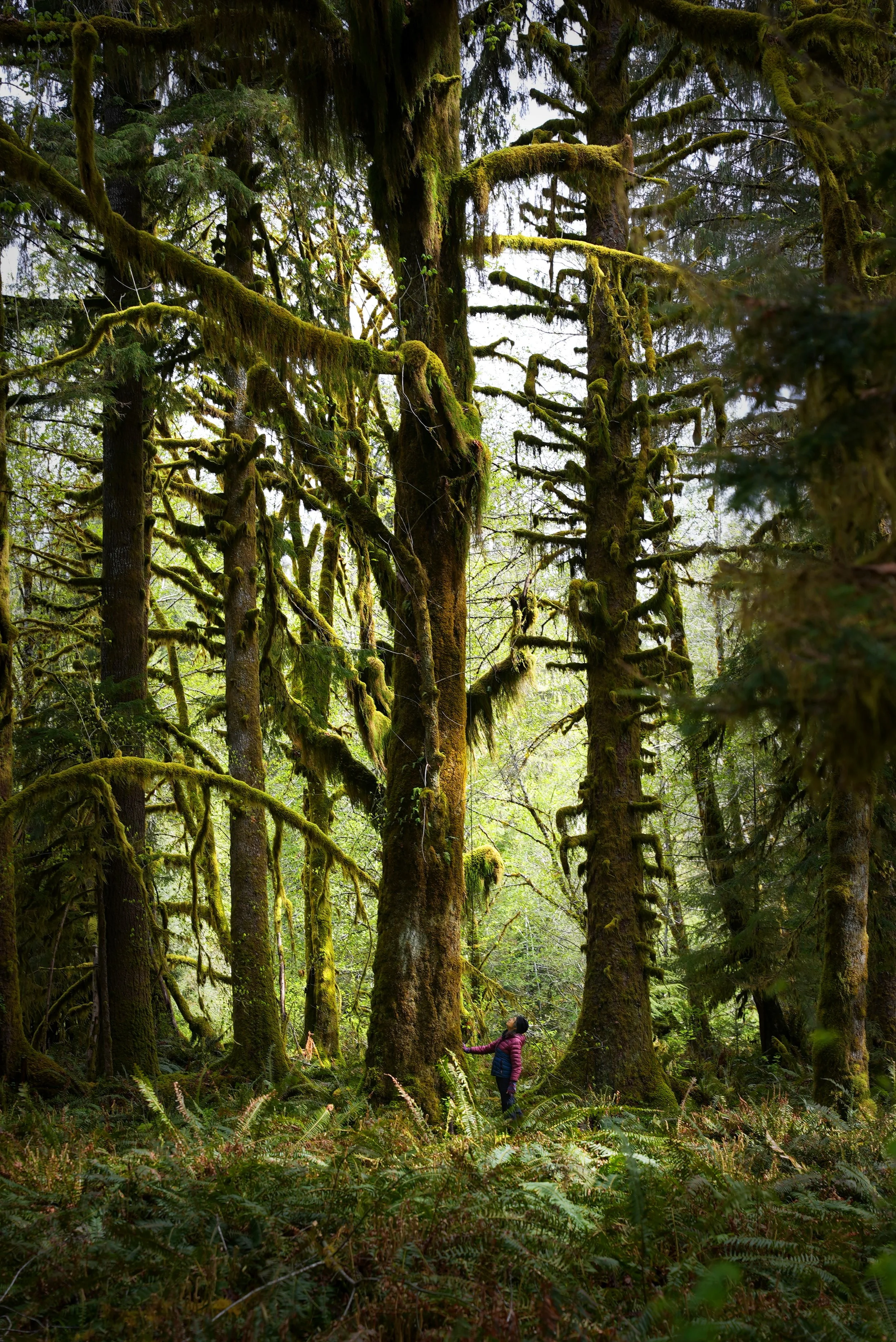 BEAS Poster_Image Only.jpeg