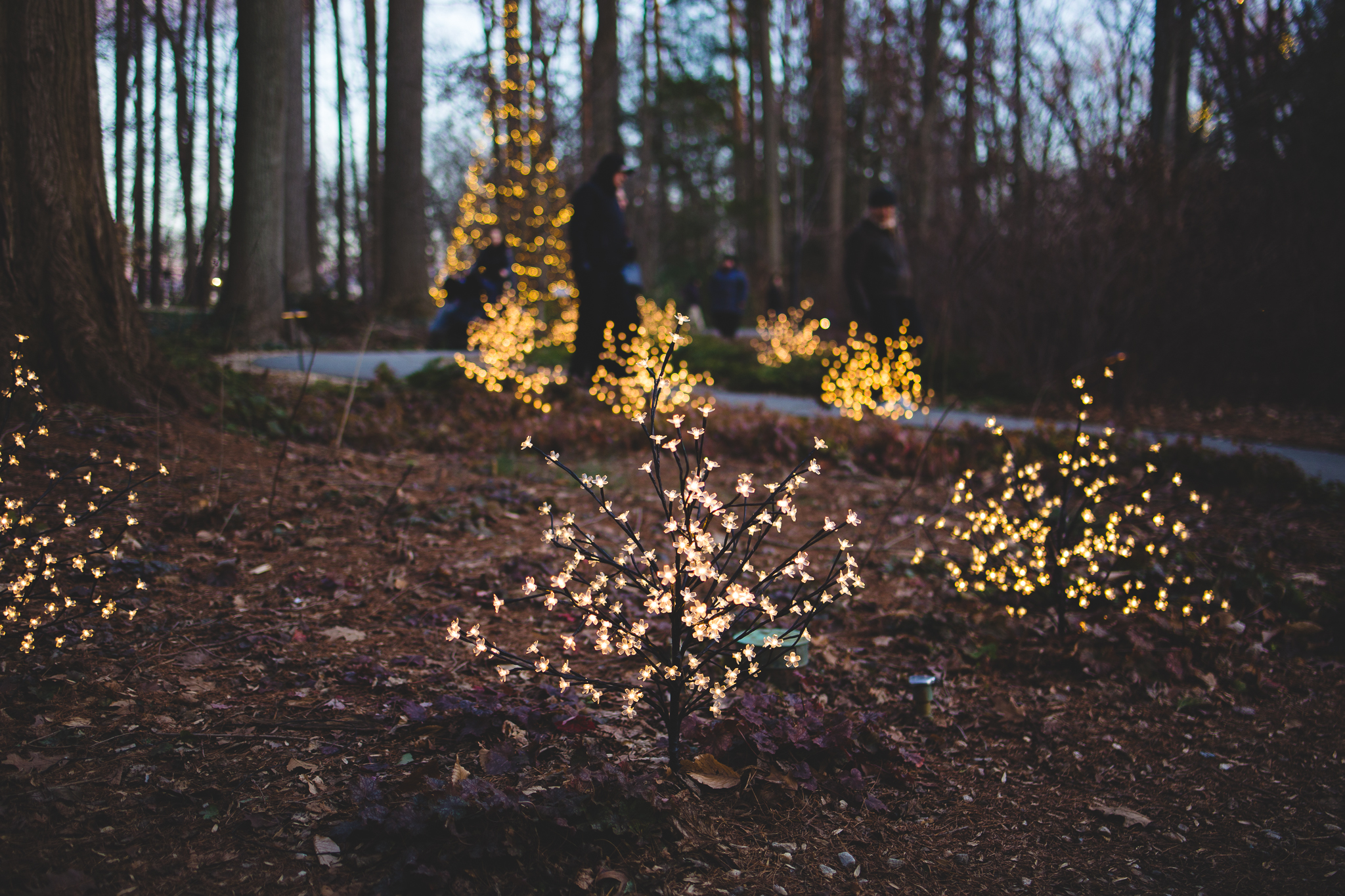 Longwood Gardens