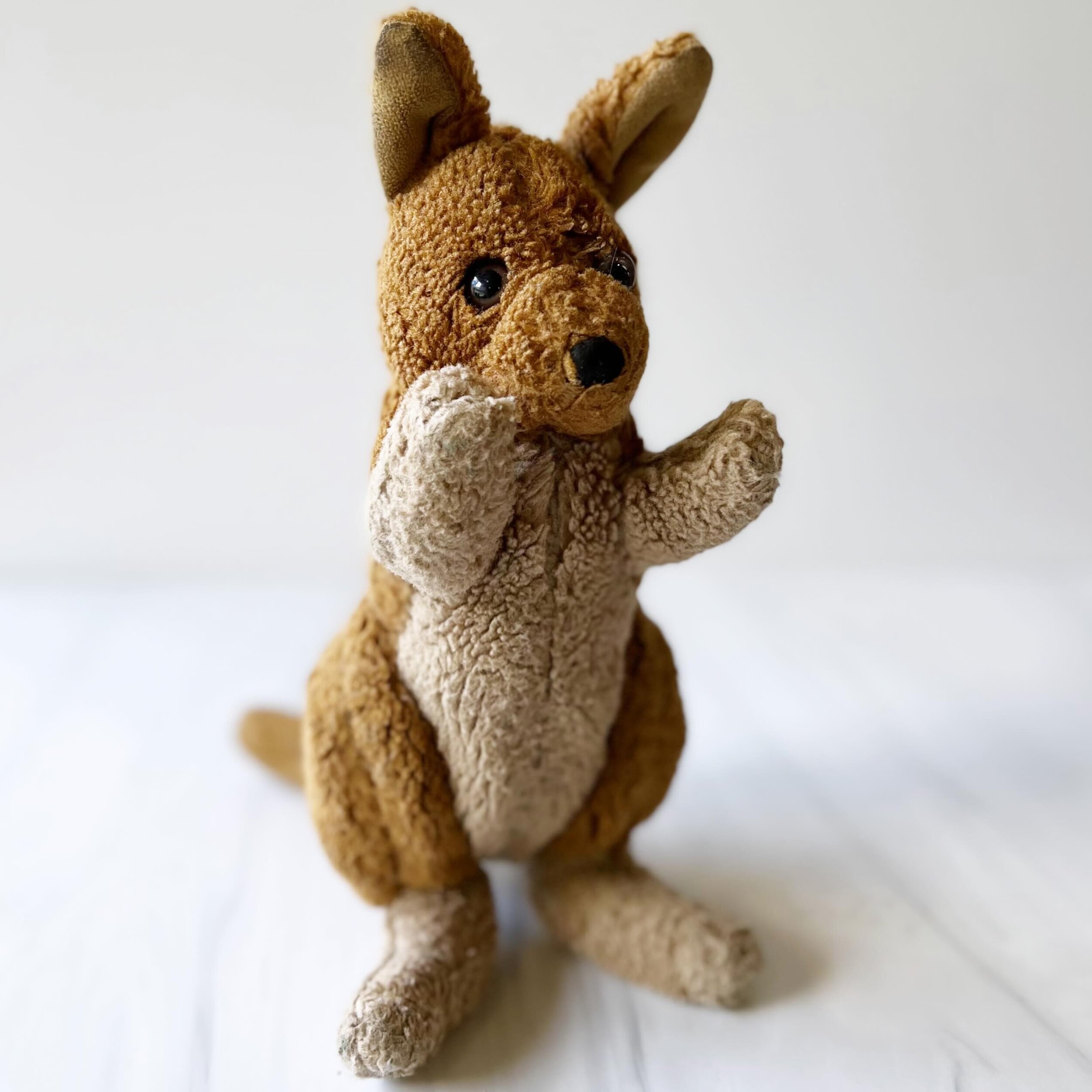 Kit the Kangaroo Bio 🦘

Tender &middot; Inquisitive &middot; Impressionable

As a joey kangaroo, Kit is charming without even trying. She is quite curious about the world and interested in everything she sees around her.  Kit is equal parts brave an