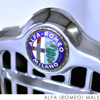 Alfa Romeo.jpg