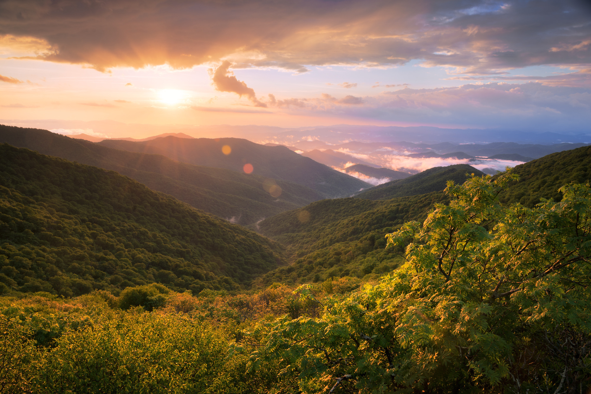 Asheville, North Carolina, USA