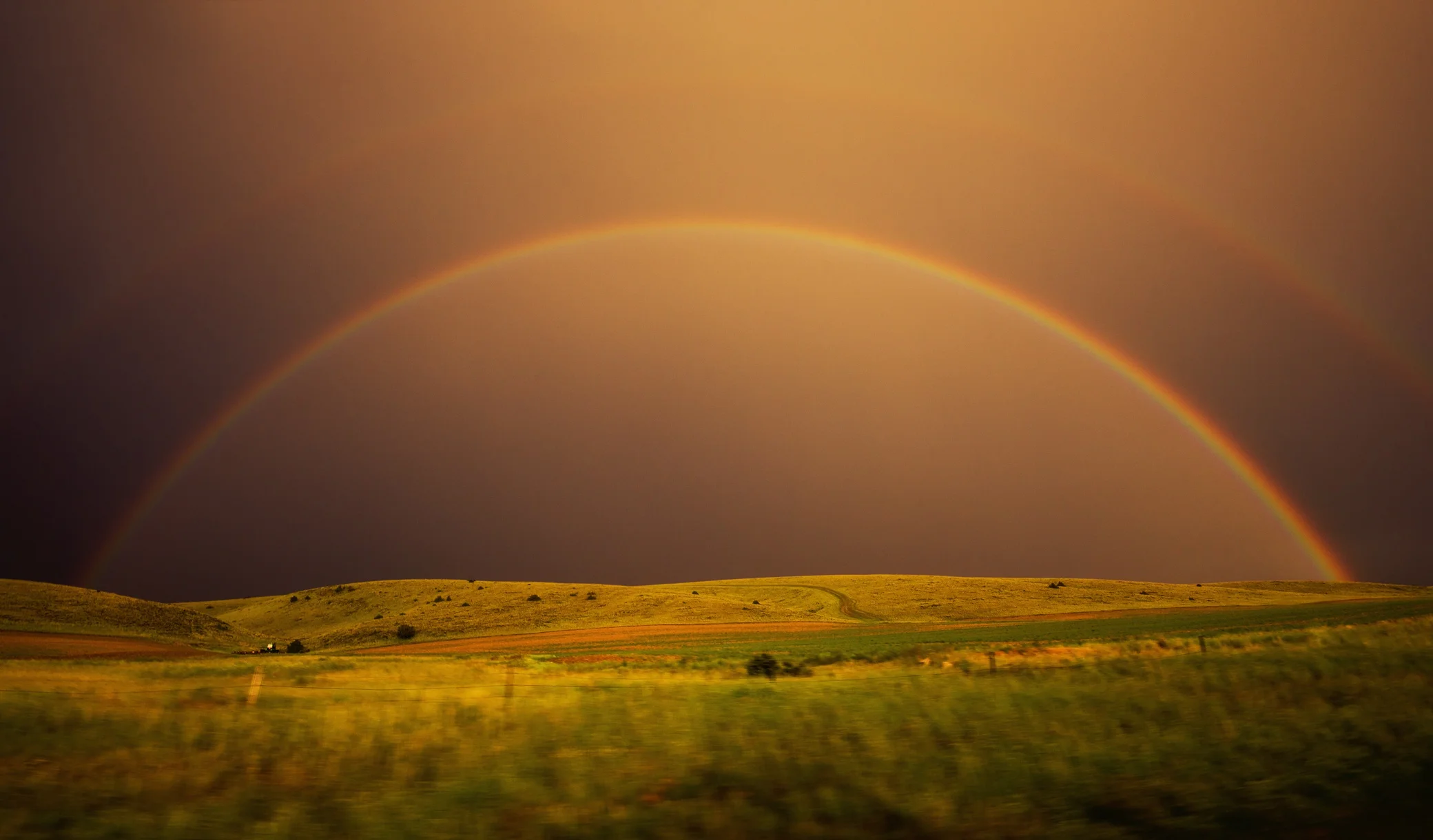 Montana