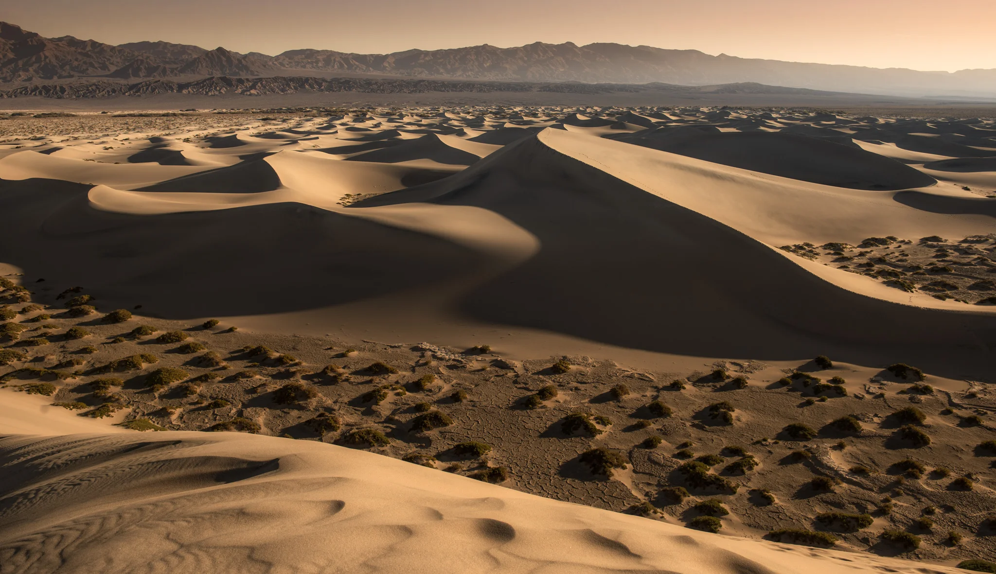 Mesquite Flat Sand Dunes, Death Valley