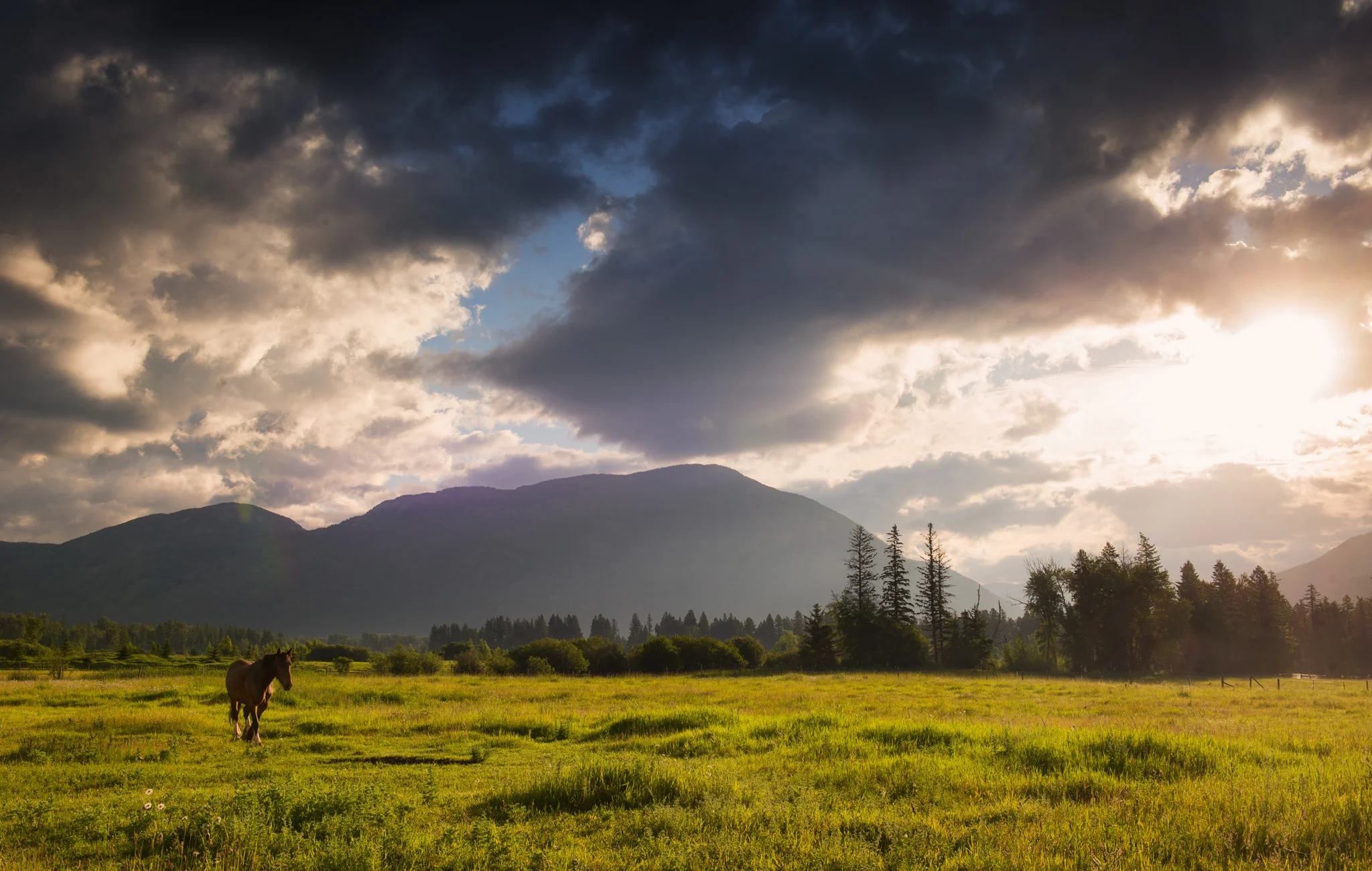 Countryside of Montana