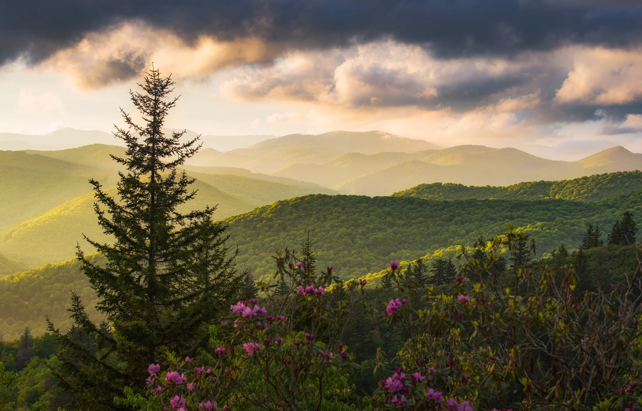 Blue Ridge Parkway, North Carolina, USA