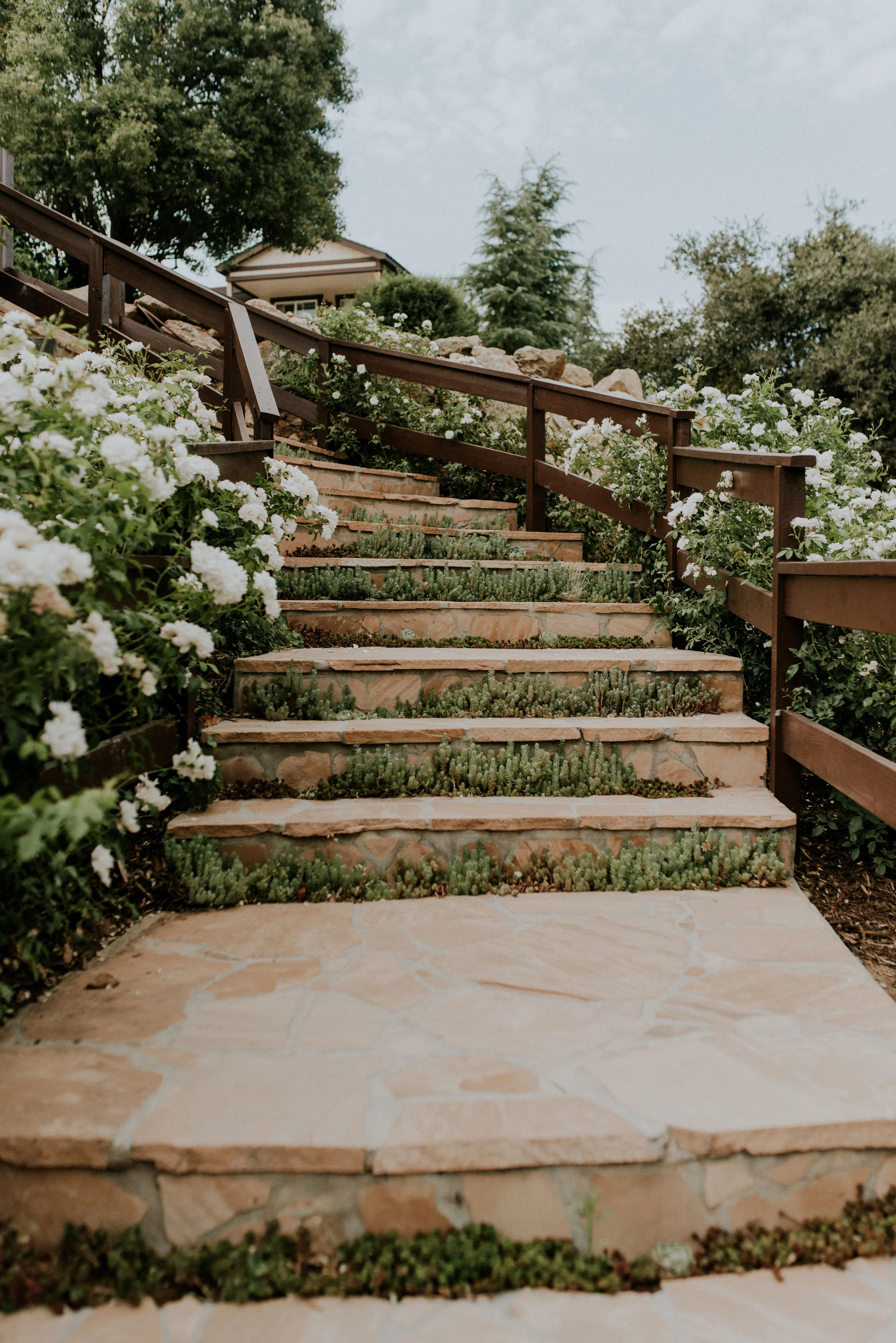 SamanthaRyanWedding-797.jpg