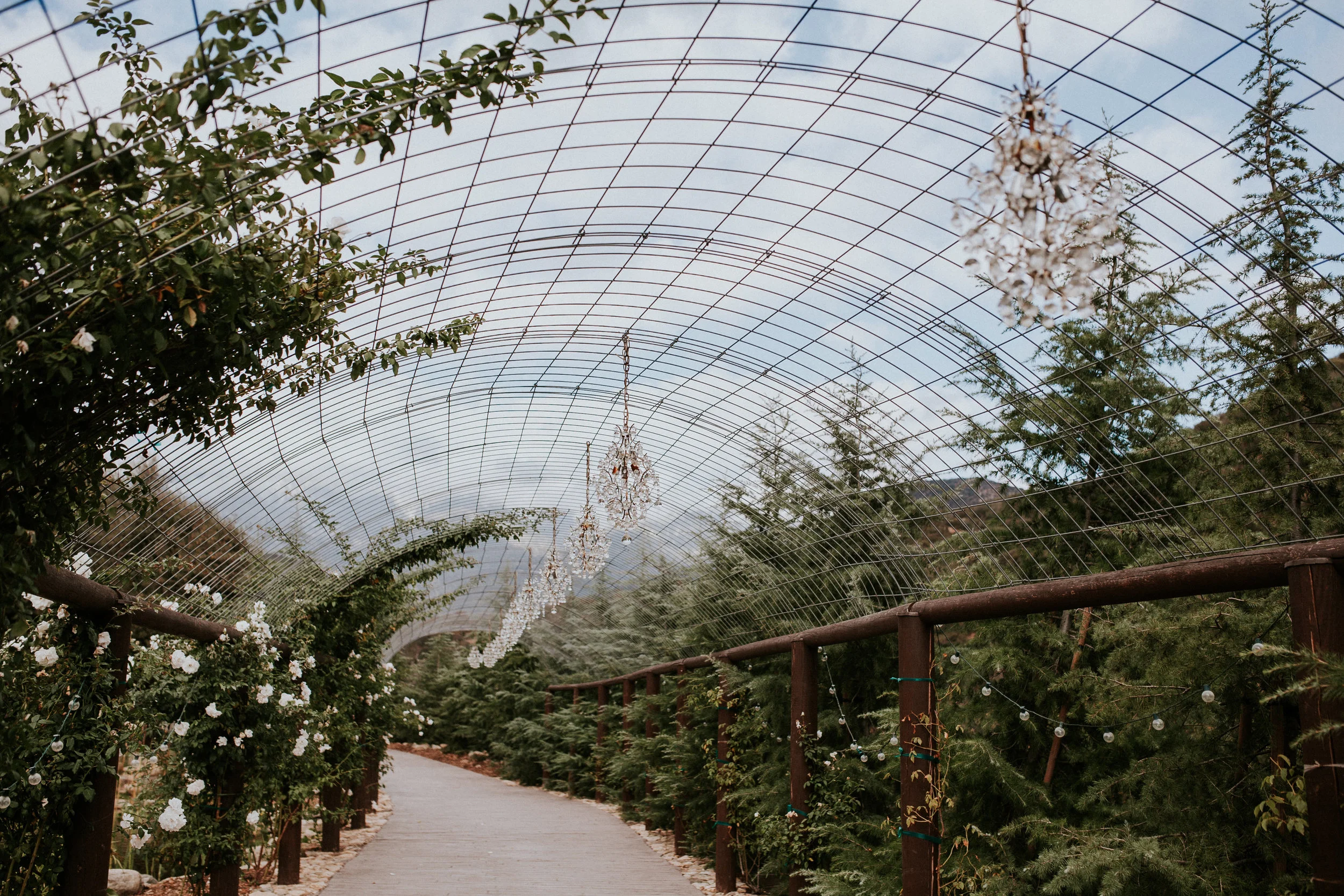 jacquelyn&matt_married_219093.jpg