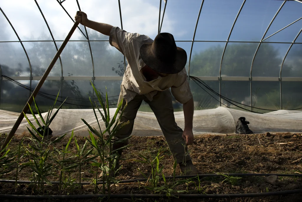 Pete of Six Boots Growers Collective.