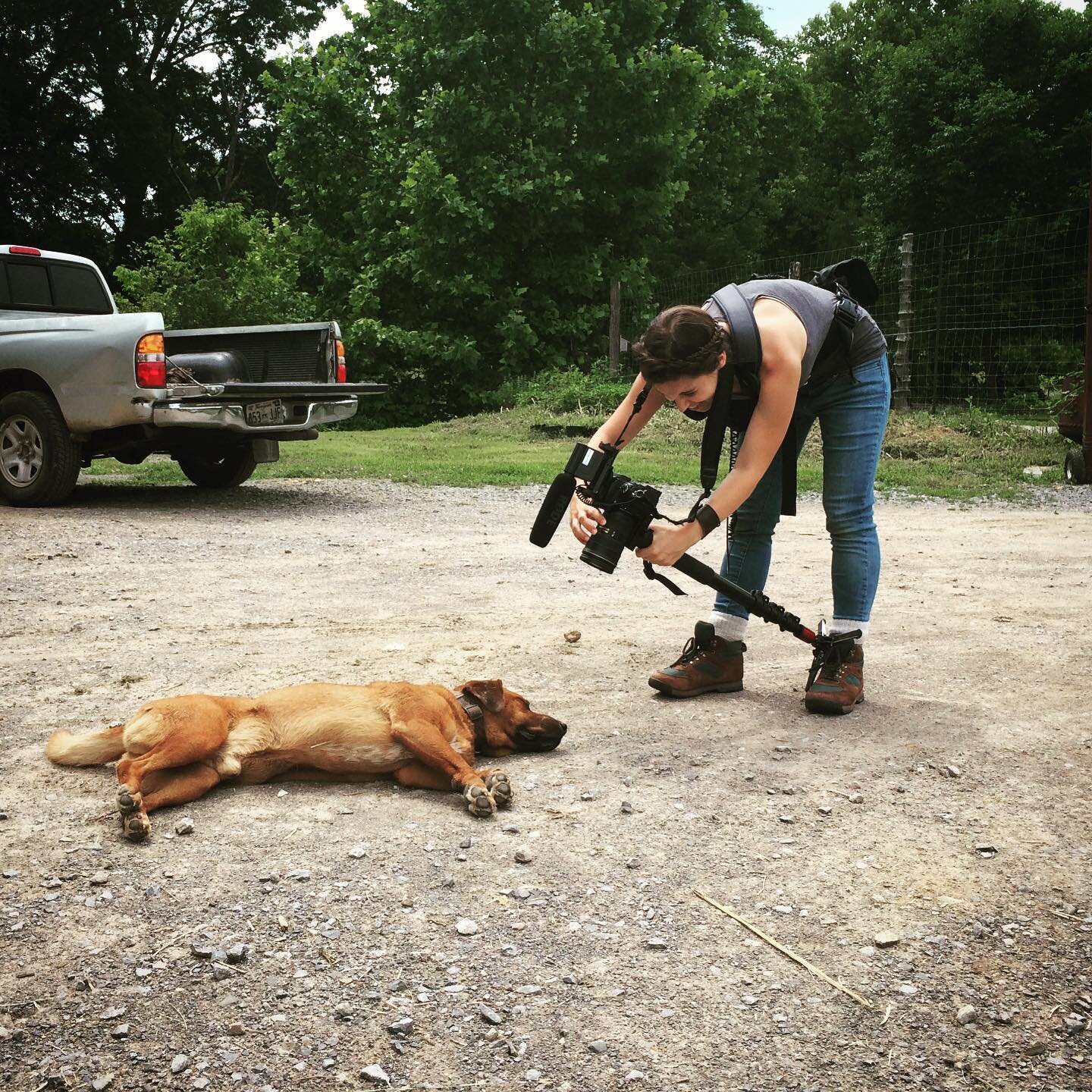 #tbt me in the summer of 2014, rocking my monopod and milkmaid braids during my first summer in Bells Bend working on my eventual masters thesis. It was a magical summer filled with amazing people, friendly farm dogs, and chigger bites (if you don&rs