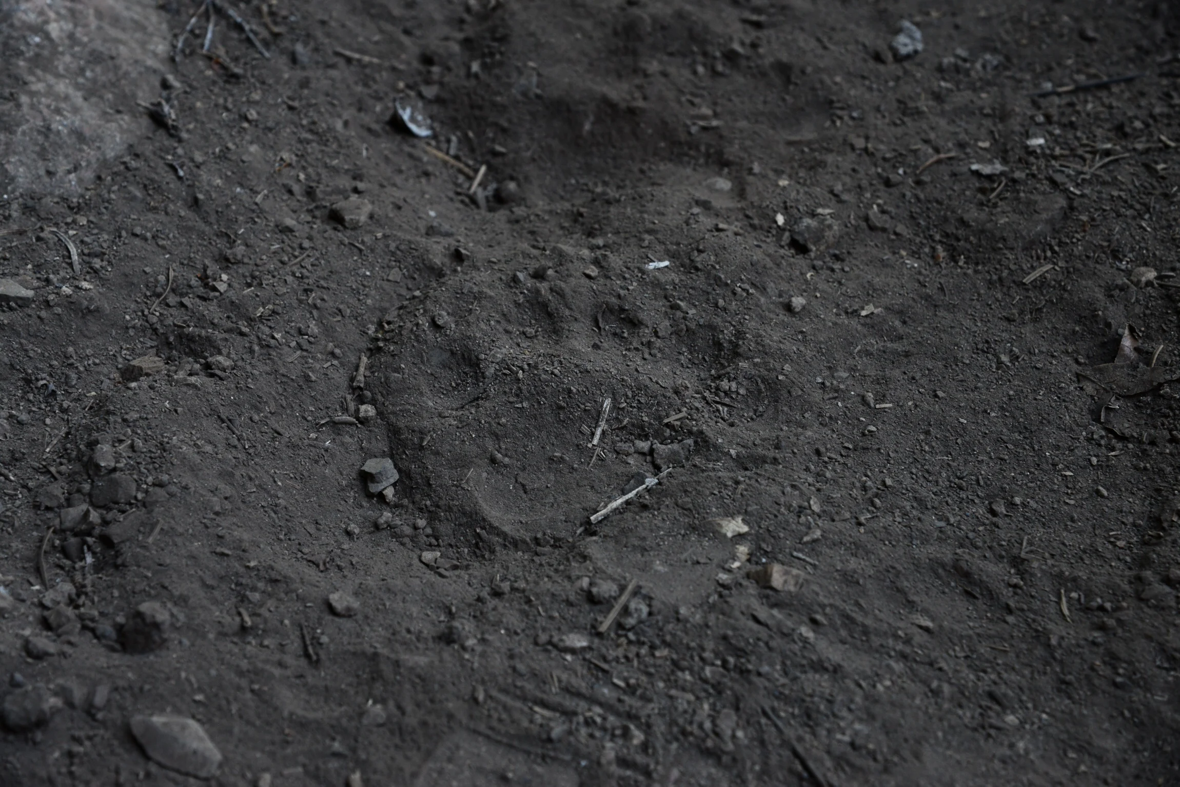 Track marks!