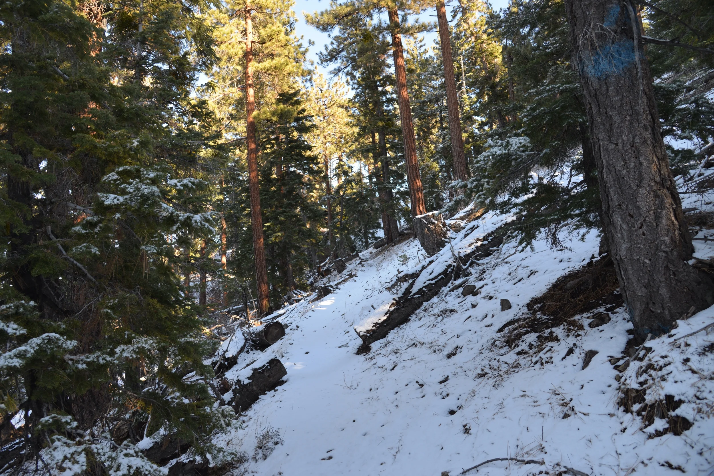 First tracks