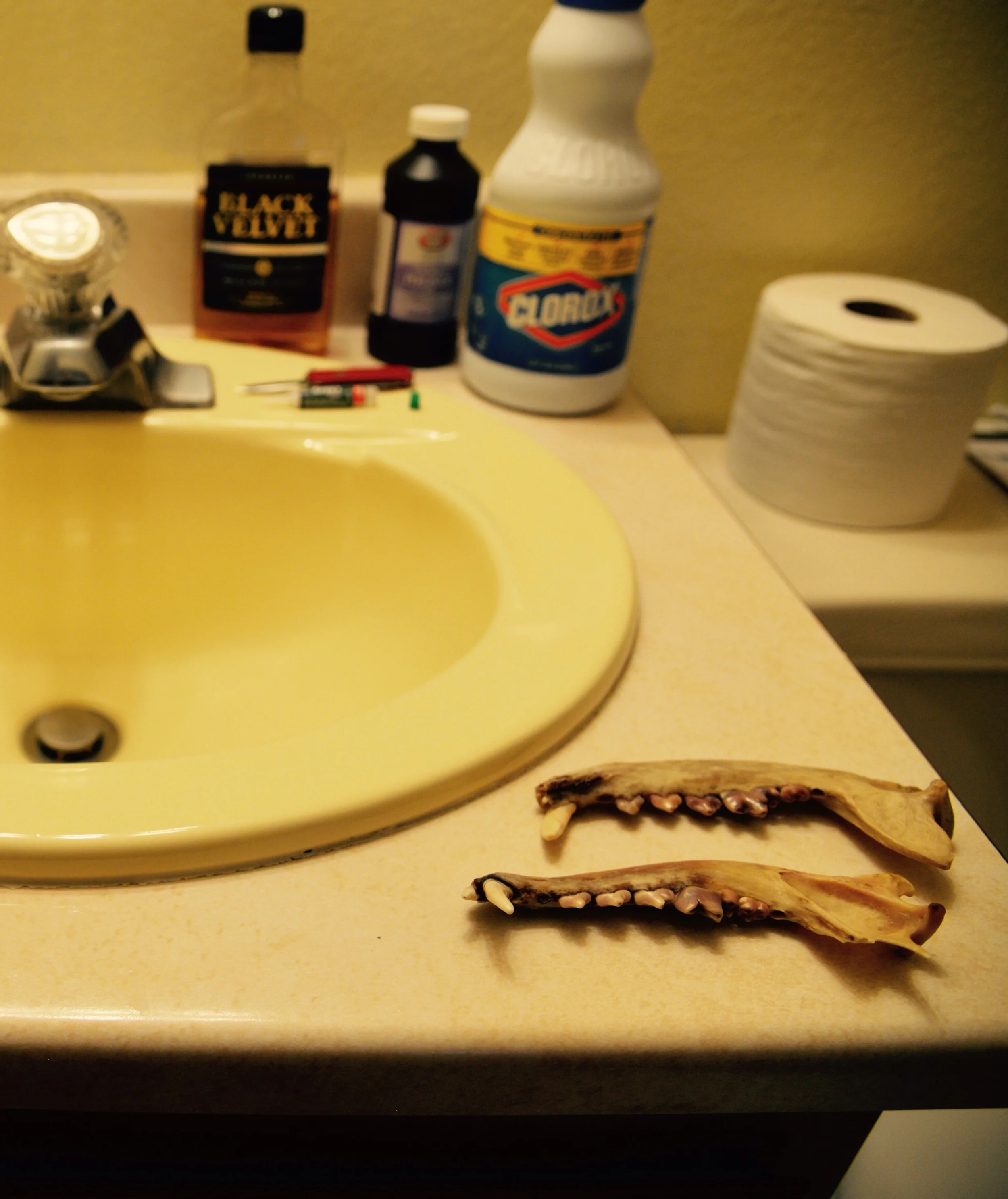 Housekeeping loves me... Bleach, peroxide, super glue and whiskey!