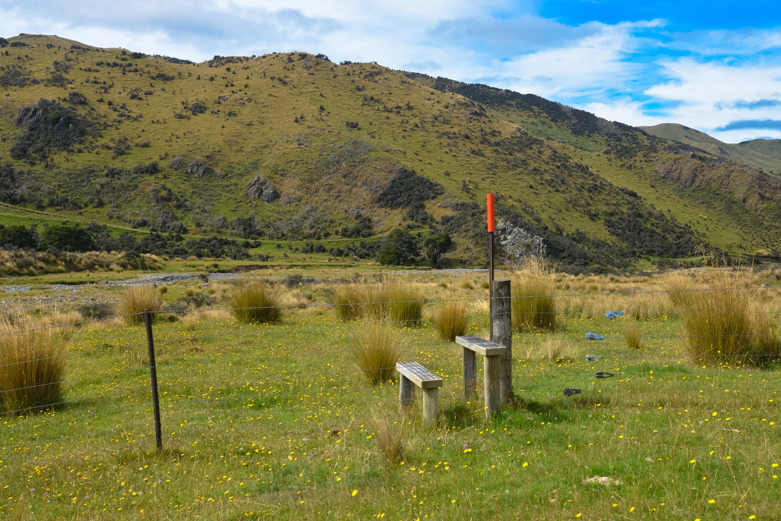 NZ-233.jpg