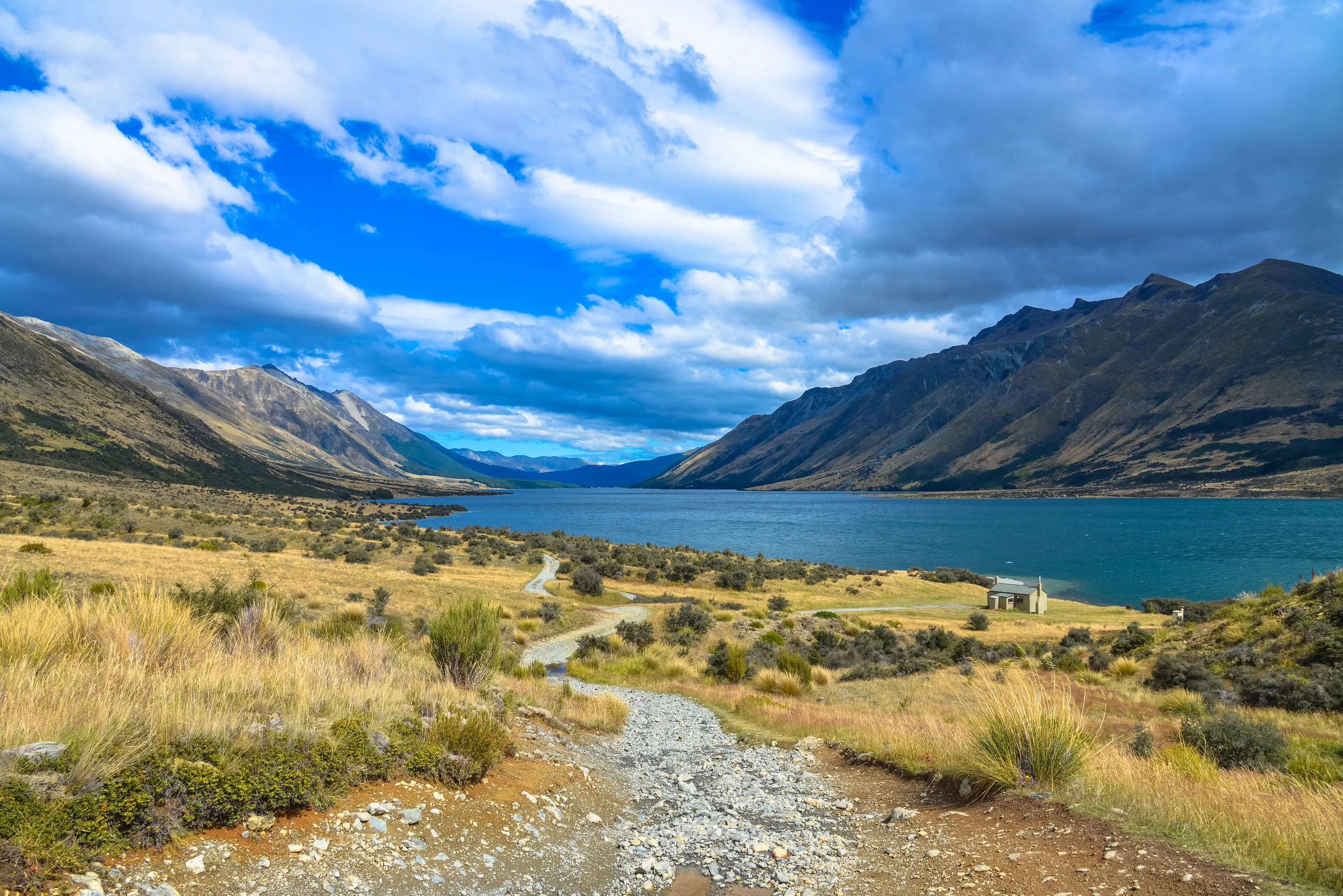 NZ-222.jpg